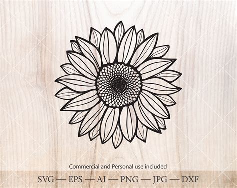 Sunflowers SVG. Sunflower Silhouette Clipart. Botanical Floral - Etsy