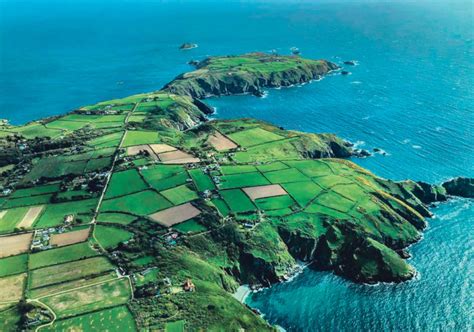 Sark Island searching for new dairy farmer — and cows | The Western ...