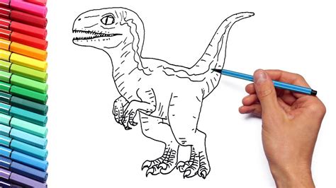 Drawing and Coloring Baby Raptor Blue From Jurassic World - Dinosaur ...