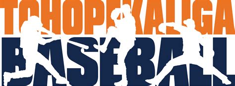 Toho Logo - Baseball Banner Image, Png Download - Original Size PNG Image - PNGJoy