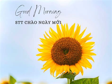 Chúc Ngày Mới Vui Vẻ: Bắt Đầu Ngày Mới Với Niềm Hạnh Phúc - Abettes-culinary.com