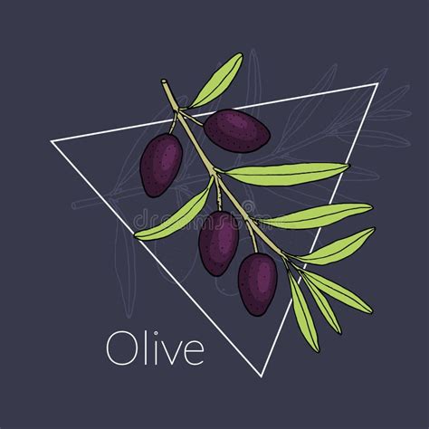 Olive Branch logo design stock vector. Illustration of vegetarian ...