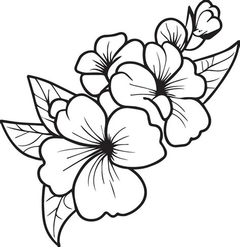 Outline print with blossoms primula flower, primrose bouquet leaves, and buds, primrose flower ...