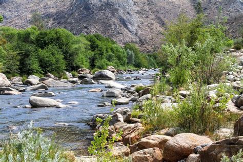 The 7 Best Places to Go Tubing in California