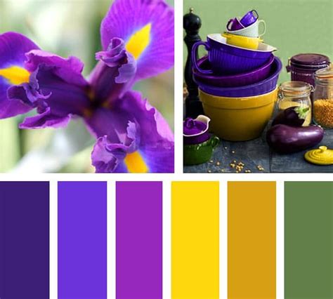 Morado y Amarillo - LEMONBE – El color, olor y sabor de tu hogar ...