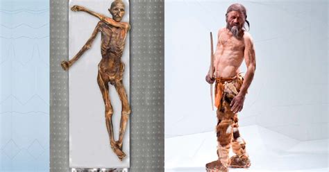 Ötzi the Iceman Genes Trace to Early Anatolian Farmers, and He Had a ...