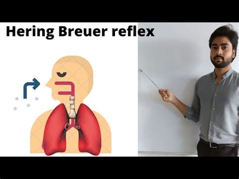 Respiratory system | Hering Breuer reflex (By Abhishek sir) - YouTube