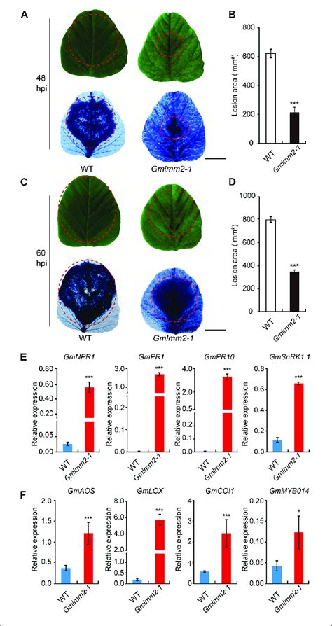 | Up-regulation of resistance-related genes and enhanced pathogen... | Download Scientific Diagram