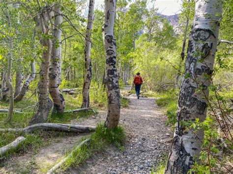 16 Spectacular Things to do in Bishop, CA: Nature, History & More