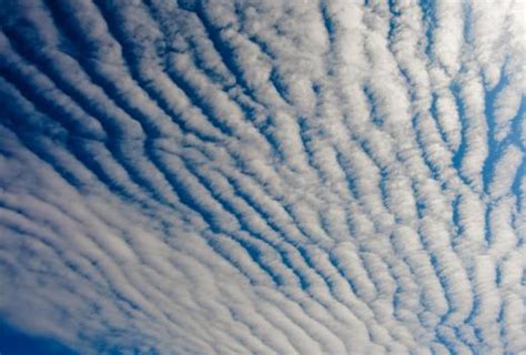 What is Cirrocumulus? (with pictures)