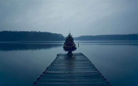 Christmas Tree On Pier, HD Nature, 4k Wallpapers, Images, Backgrounds ...