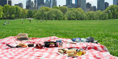 $39 – NYC Central Park Picnic for 2 in Summer | Travelzoo