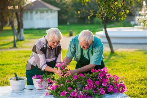 Senior gardening: Therapeutic Garden Benefits | Stannah Blog