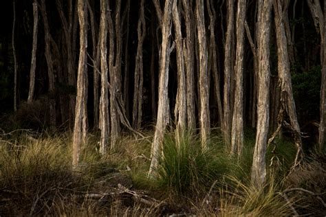 Wild coastal scenery on the walk to Egg Beach on Flinders Island | Hiking the World