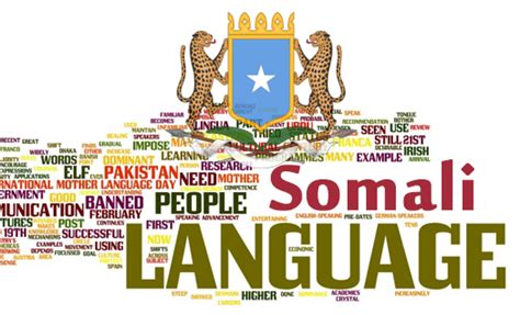 45th Anniversary of the Somali Language – Goobjoog English