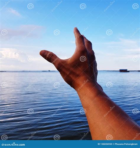 Hand reaching sky stock photo. Image of lake, relaxing - 136026550