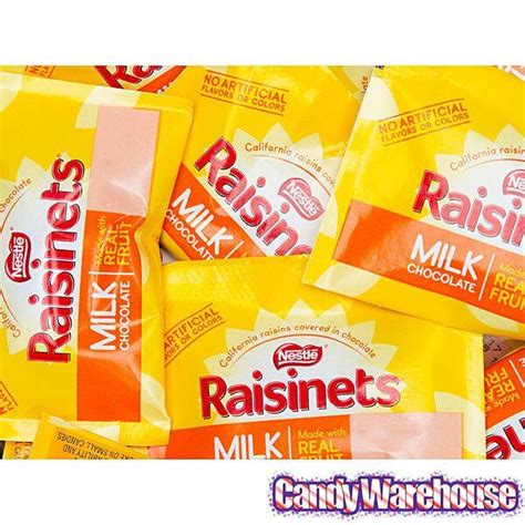 Raisinets Milk Chocolate Raisins Candy Fun Size Packs: 15-Piece Bag ...