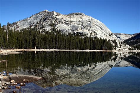 Free photo: Lake Reflection - Yellow, Sun, Pond - Free Download - Jooinn