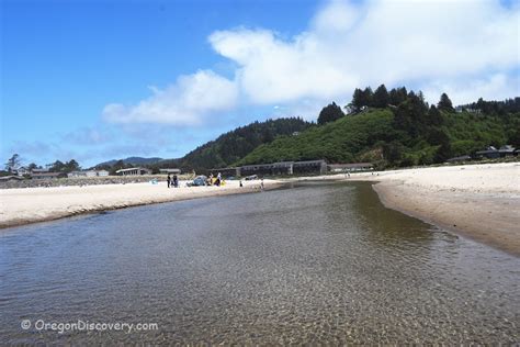 Neskowin Beach: Ancient Ghost Forest at Proposal Rock - Oregon Discovery