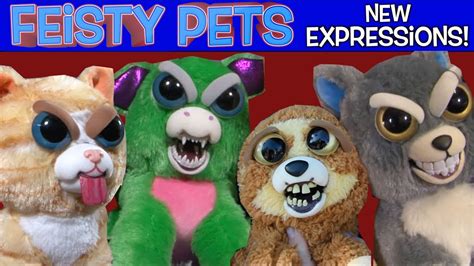 Feisty Pets New Expressions! - YouTube