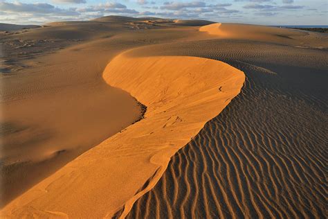 Silver Lake Sand Dunes at Sunrise Photograph by Dean Pennala