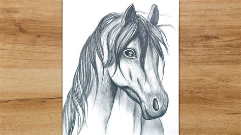 How to Draw a Horse Head Step by Step | Realistic Animal Drawing - YouTube