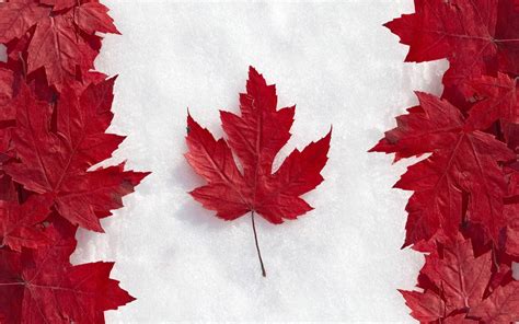 The Canadian Flag Wallpapers - Top Free The Canadian Flag Backgrounds ...