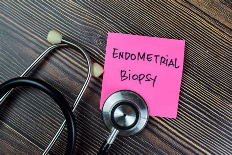 Endometrial Biopsy For Infertility - A Complete Guide - Being The Parent