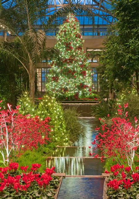 Longwood Gardens at Christmas! | Philadelphia magic gardens, Longwood ...