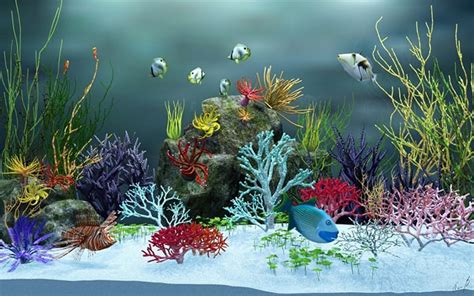 50+ Best Aquarium Backgrounds | Free & Premium Templates