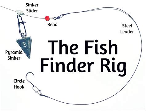 Master the Fish Finder Rig for Surf Fishing - Fishing Fanatiks