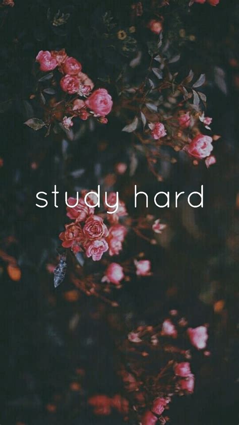 Study Hard Wallpapers - Wallpaper Cave