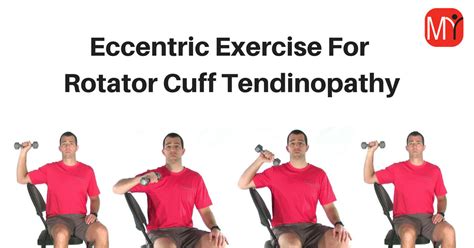 Eccentric Contraction Exercises | EOUA Blog