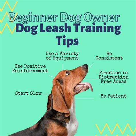 Dog Leash Training Tips! 7 Proven Tips To Mastering