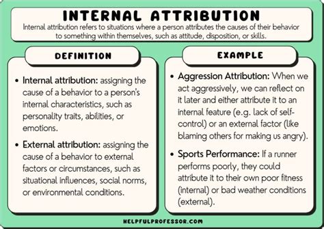 Internal Attribution: 10 Examples and Definition (2024)