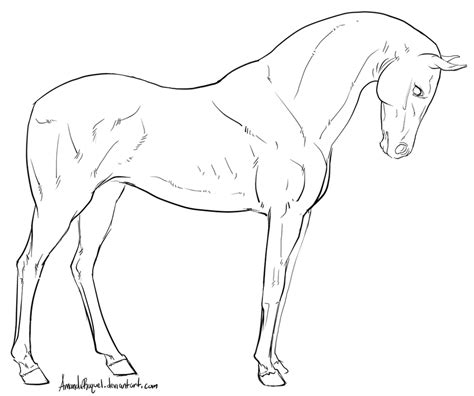 Standing Horse Lineart by AmandaRaquel on DeviantArt