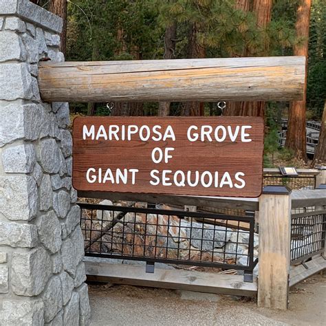 Hiking The Mariposa Grove Trail To Wawona Point (Yosemite National Park ...