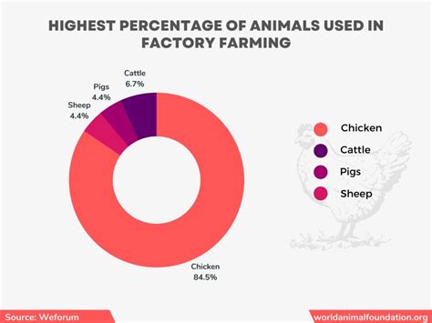 Animal Cruelty In Factory Farm Statistics - Dreadful Numbers