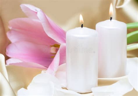 Candles with flower stock photo. Image of healthy, cosmetic - 8777384