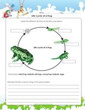 4th Grade Science Life Cycle