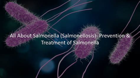 Salmonella Natural Treatment at Ralph Hallett blog