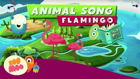 ZooMooPedia | Flamingo Song - YouTube