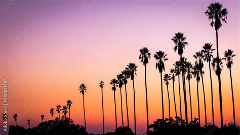 Dramatic Sunset in Los Angeles California with palm trees Stock-Foto ...