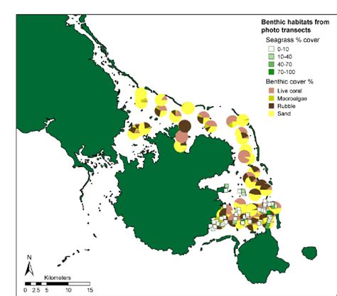 28: Major benthic cover types resulting from the benthic photo transect... | Download Scientific ...