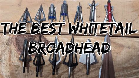 The Best Broadhead for Whitetail Hunting - YouTube