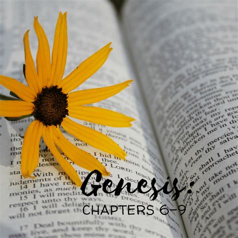 Genesis Chapters 6-9: Noah, A Righteous Man Who Walked With God — Cups ...