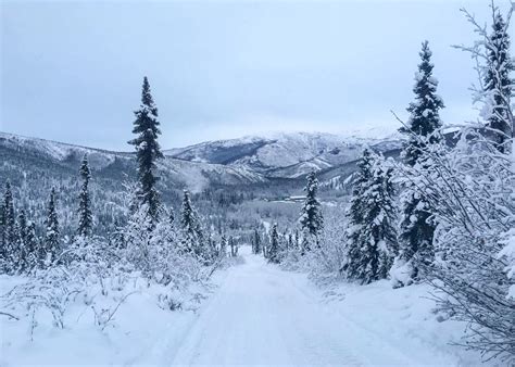 Top 10 Things To Do In Fairbanks in Winter - Andrea Kuuipo Abroad