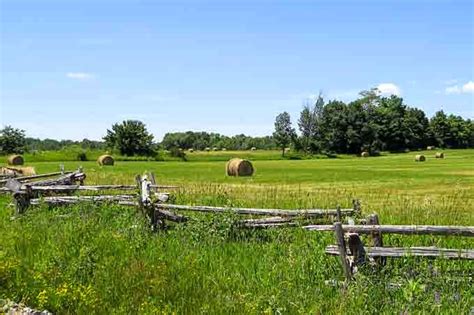 East Gwillimbury CameraGirl: Haying Season