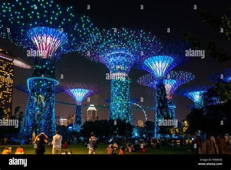 Gardens By The Bay Light Show Review - Janainataba