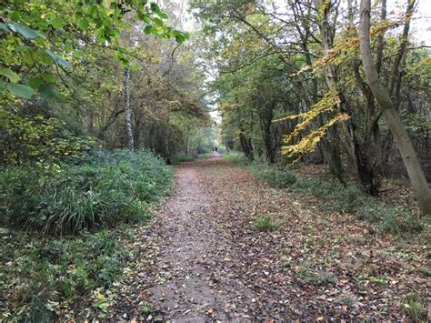 Day Out at Salcey Forest, Northamptonshire - Life of Man